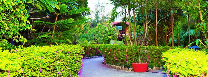 2531/Alaya Resorts - 02.jpg